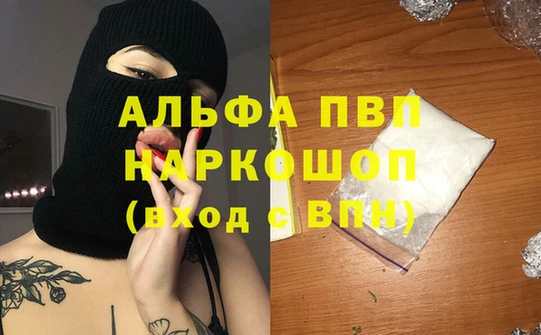 PSILOCYBIN Кинешма