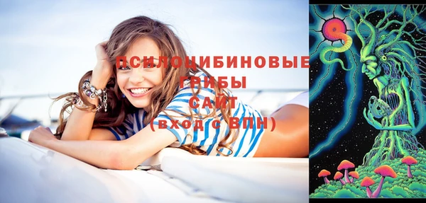 прущий лед Киреевск