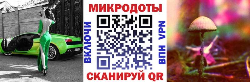 Псилоцибиновые грибы Psilocybine cubensis  Купить закладки  Козьмодемьянск 